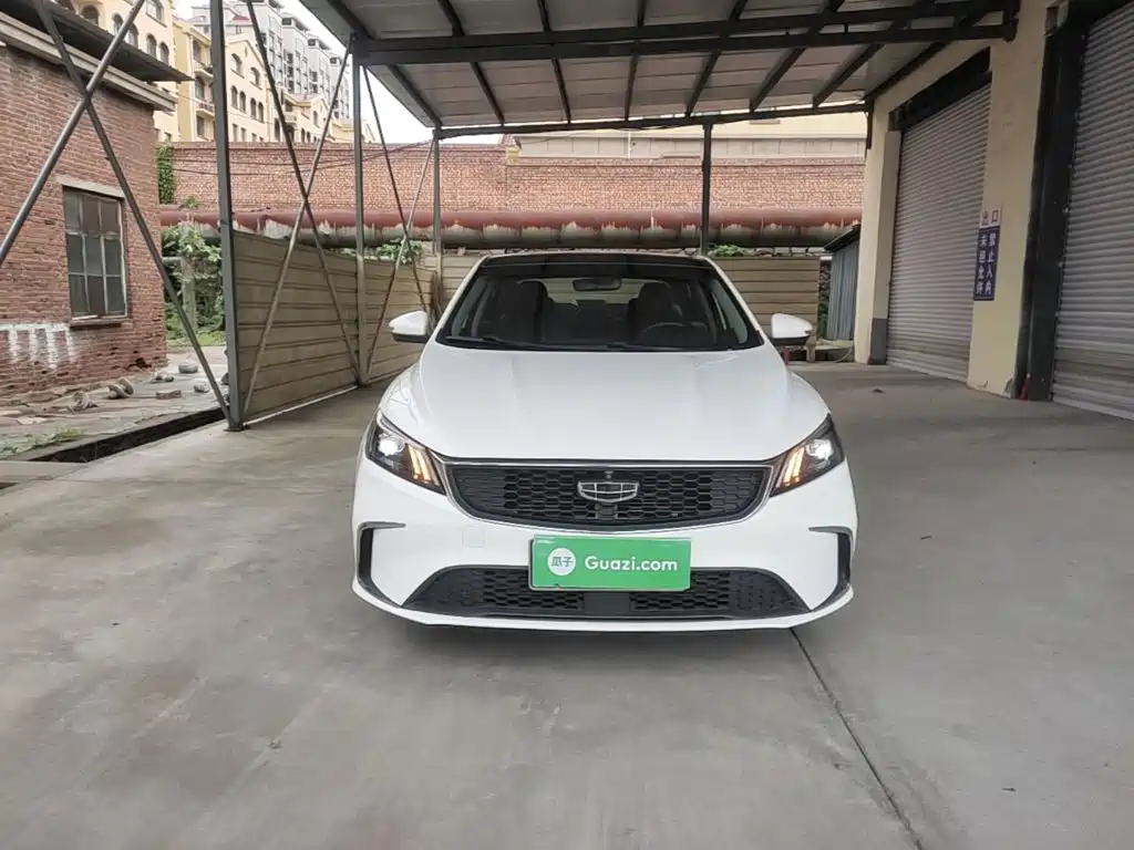 Geely Binrui 2021