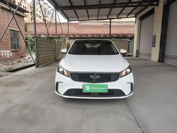 Geely Binrui 2021