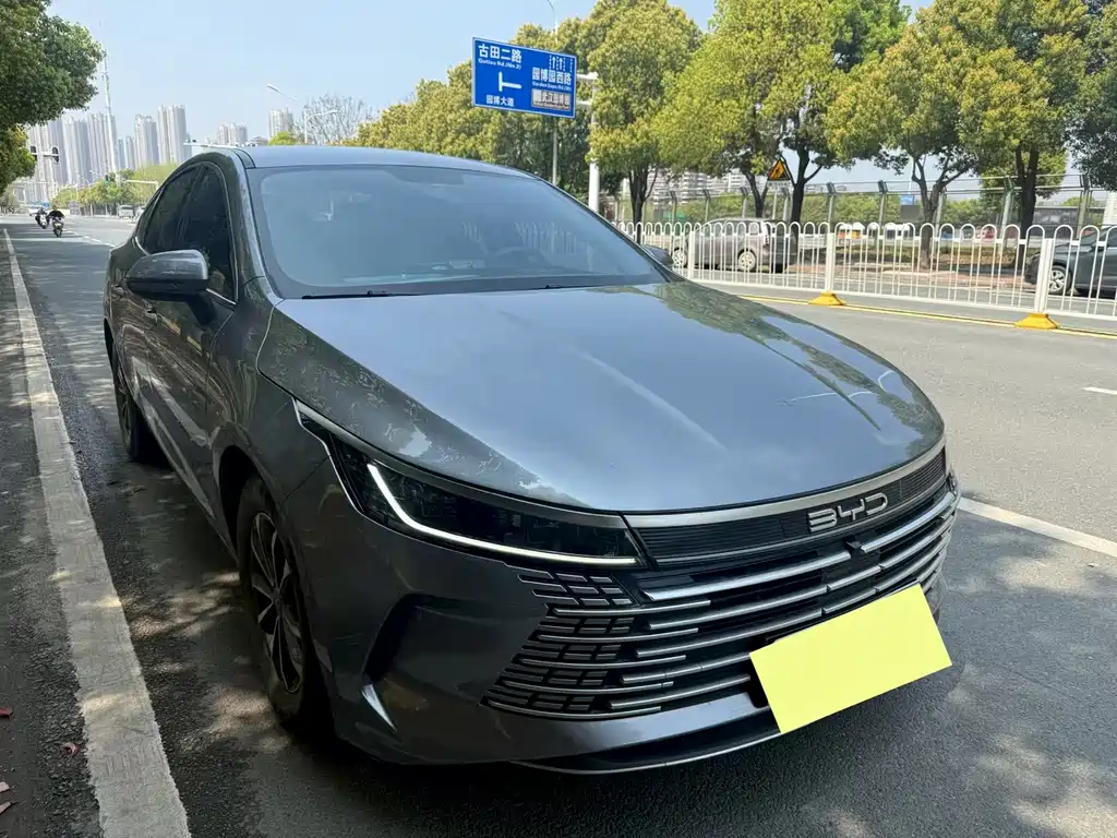BYD Destroyer 05 2023 — фото 2