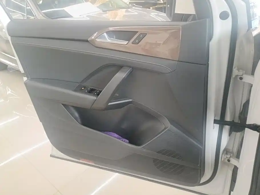 Volkswagen Tuyue 2020