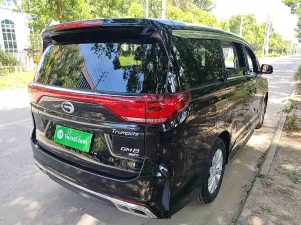 GAC Trumpchi M8 2020
