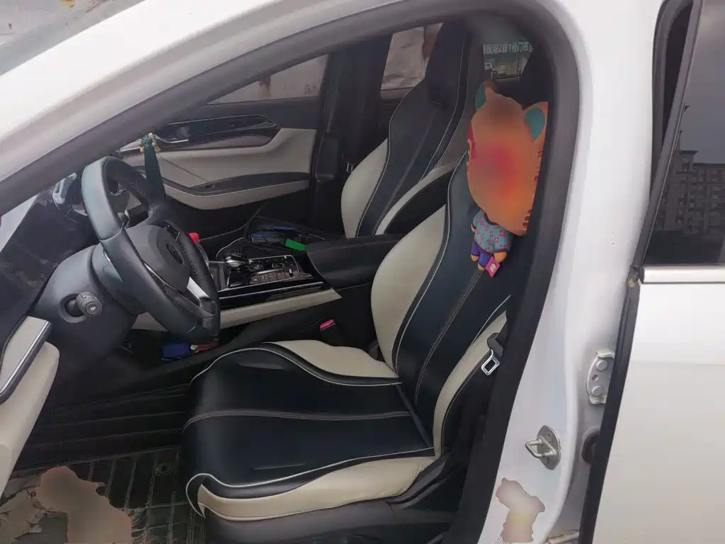 BYD Qin PLUS 2022 — фото 11