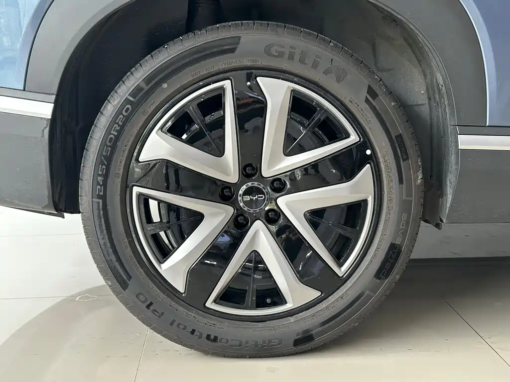 BYD Sealion 07 DM-i 2025 — фото 10