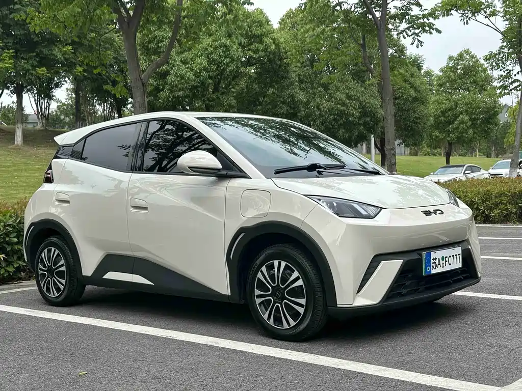 BYD Seagull 2024