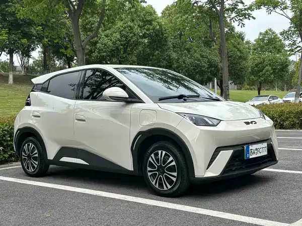 BYD Seagull 2024