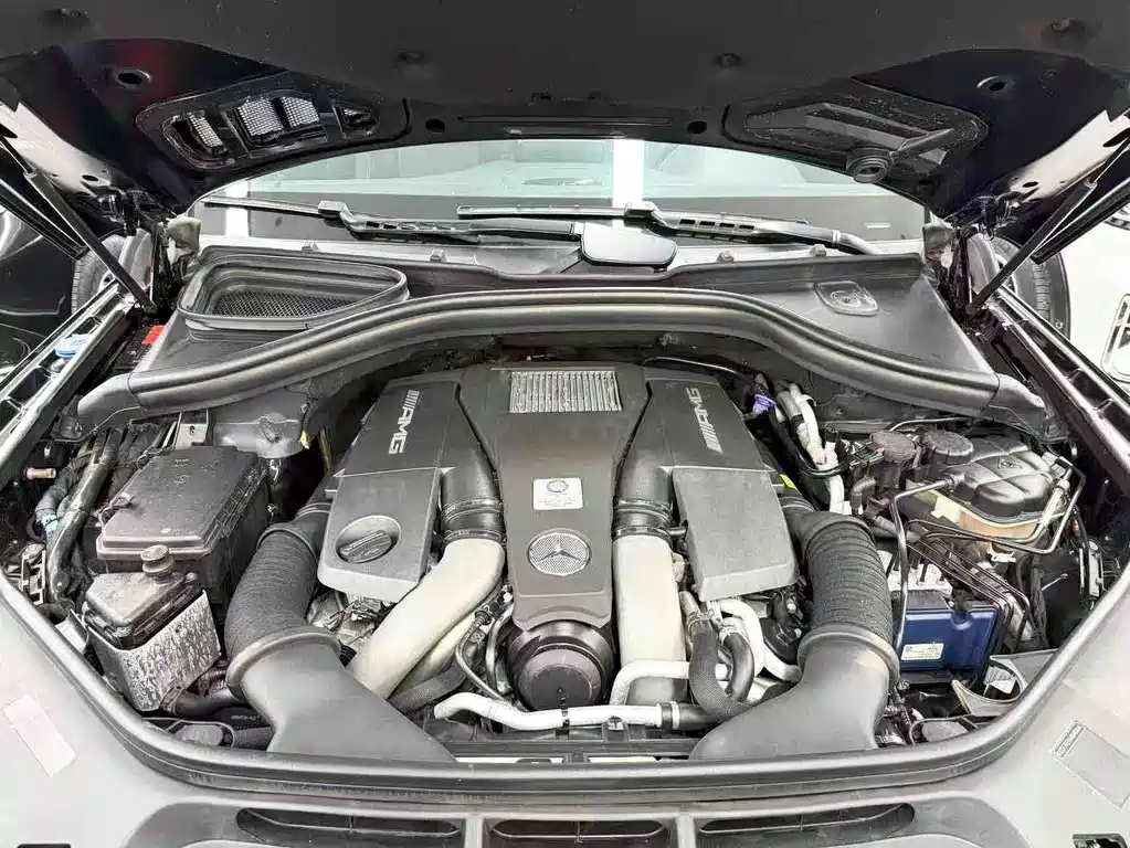 Mercedes-Benz GLS AMG 2017 — фото 26