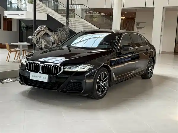 BMW 5 Series New Energy 2022