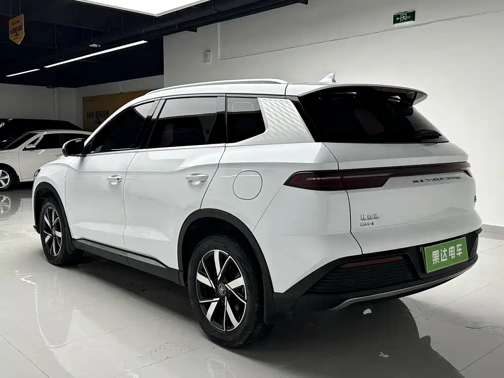 BYD Pro New Energy 2024 — фото 8