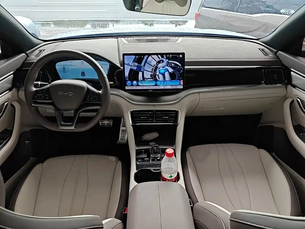 BYD PLUS New Energy 2025 — фото 10