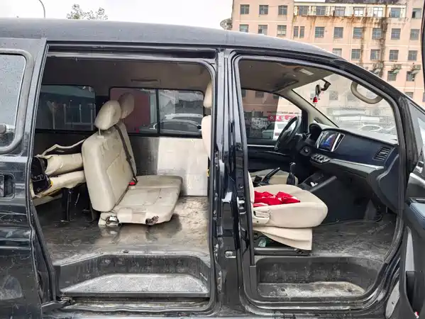 Dongfeng Lingzhi 2022
