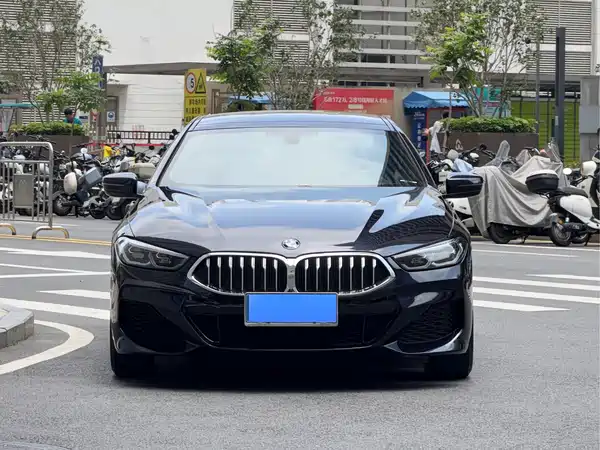 BMW 8 Series 2021