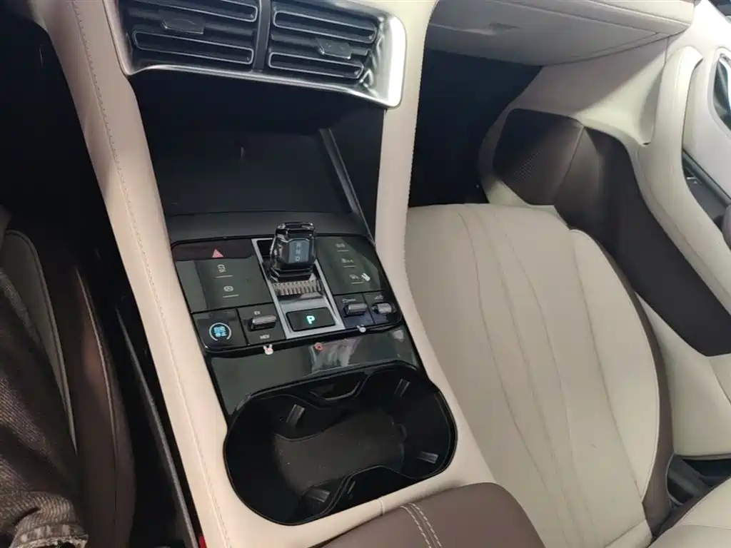 BYD PLUS New Energy 2024 — фото 14