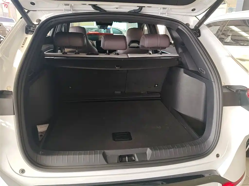 BYD PLUS New Energy 2024 — фото 19