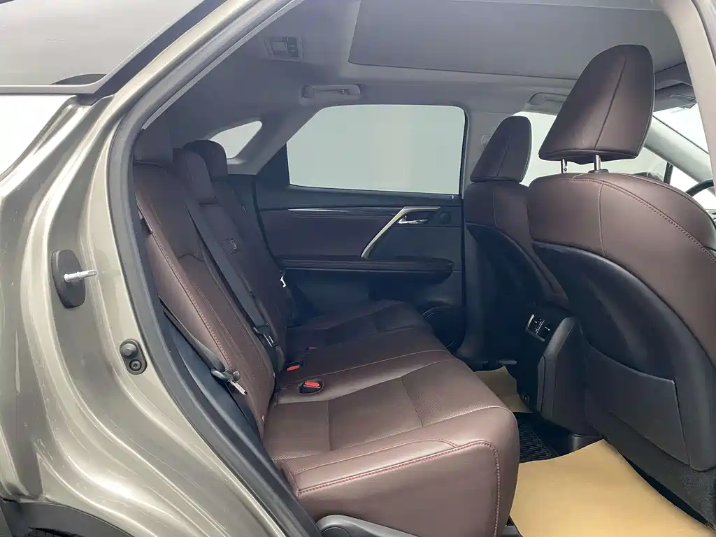 Lexus RX 2020 — фото 19