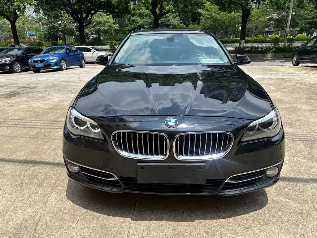 BMW 5 Series 2014 — фото 2