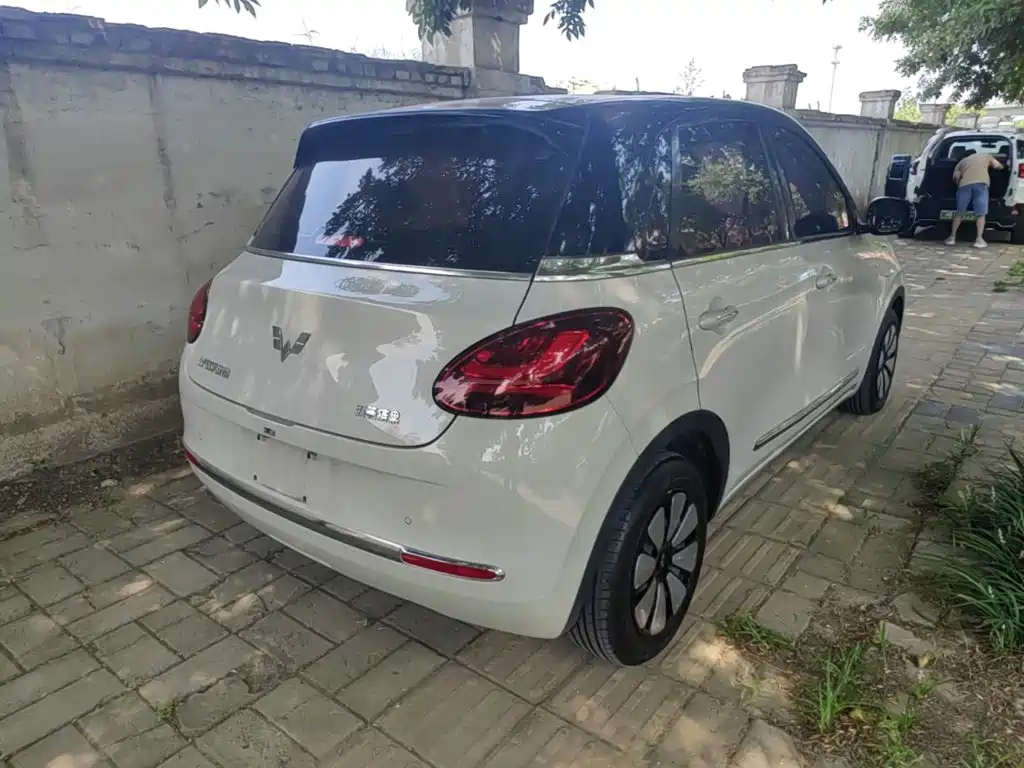 Wuling Bingo 2024