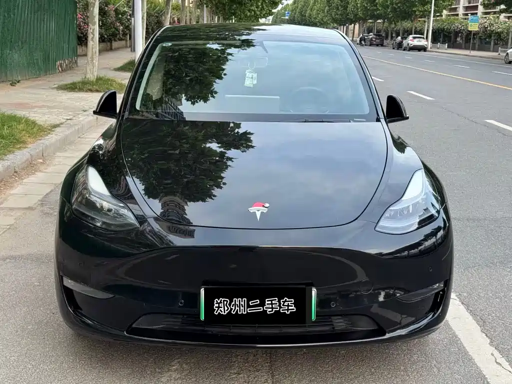 Tesla Model Y 2021 — фото 2