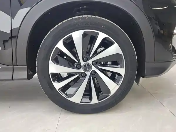 BYD Song PLUS New Energy 2023