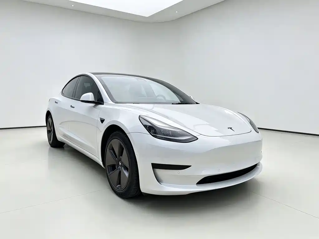 Tesla Model 3 2021 — фото 3