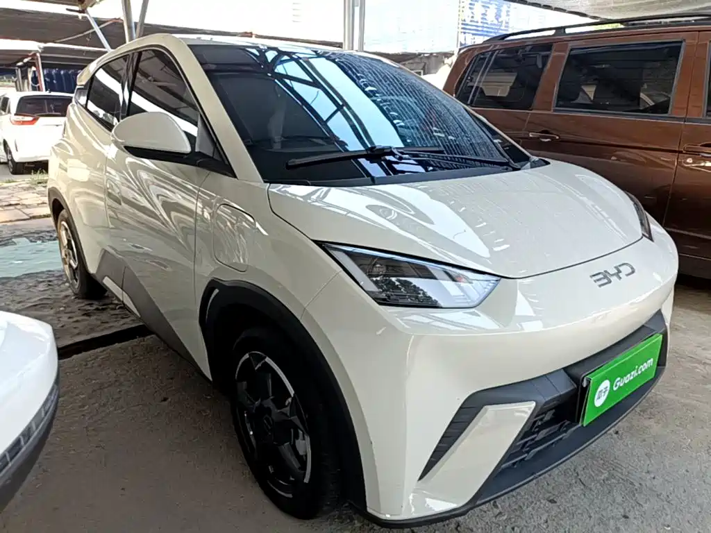 BYD Seagull 2024