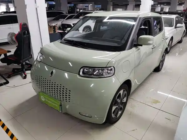 Ora White Cat 2021