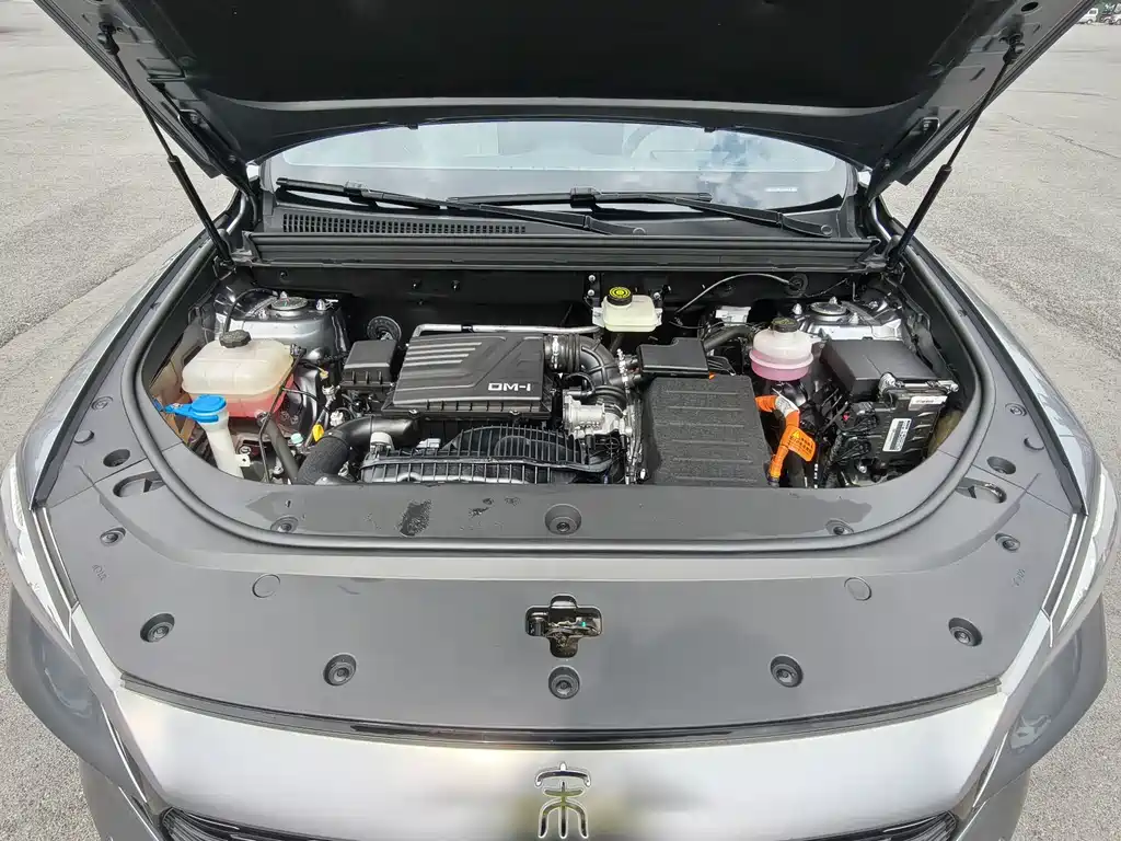 BYD Pro New Energy 2023 — фото 12