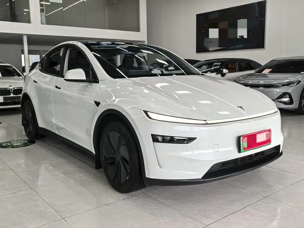 Tesla Model Y 2025 — фото 3