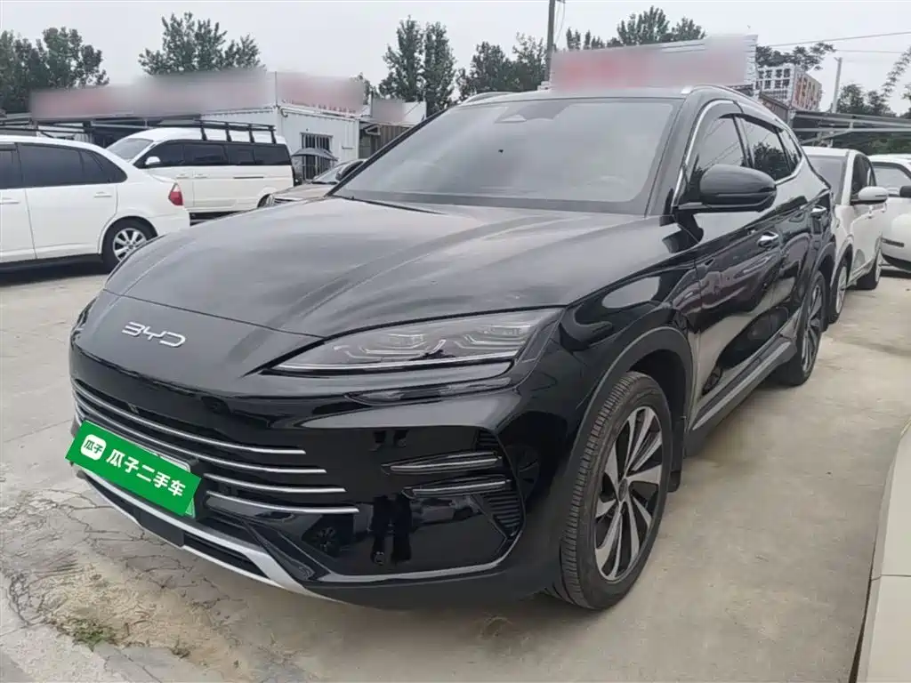 BYD PLUS New Energy 2024