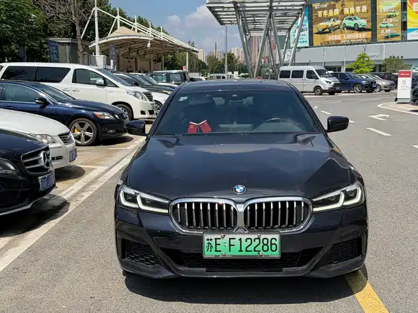 BMW 5 Series New Energy 2021
