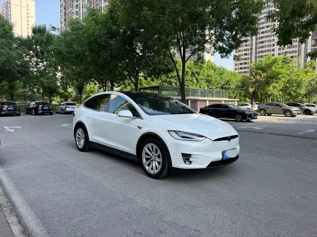 Tesla Model X 2017 — фото 3