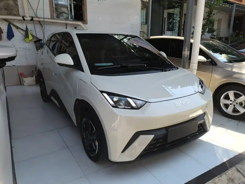 BYD Seagull 2024