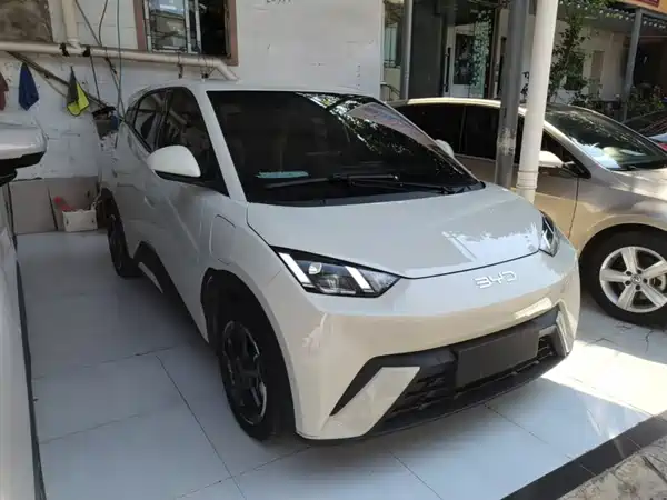 BYD Seagull 2024