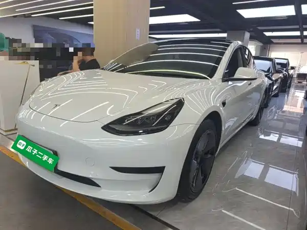 Tesla Model 3 2021