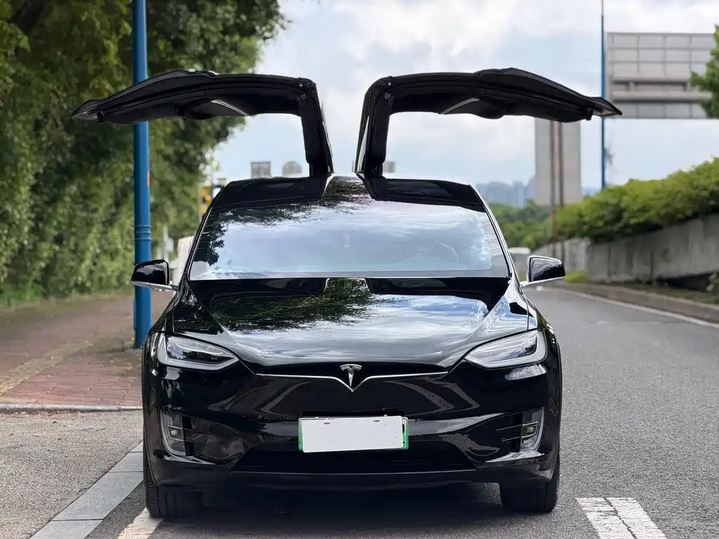 Tesla Model X 2019 — фото 6