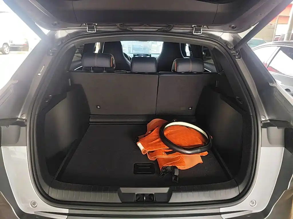 BYD Song PLUS New Energy 2022 — фото 19