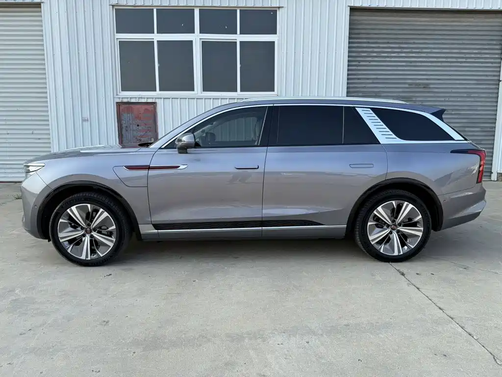 Hongqi E-HS9 2021