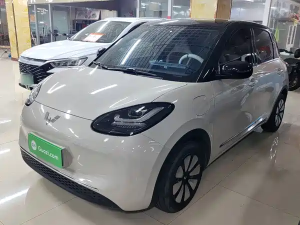 Wuling Bingo 2024