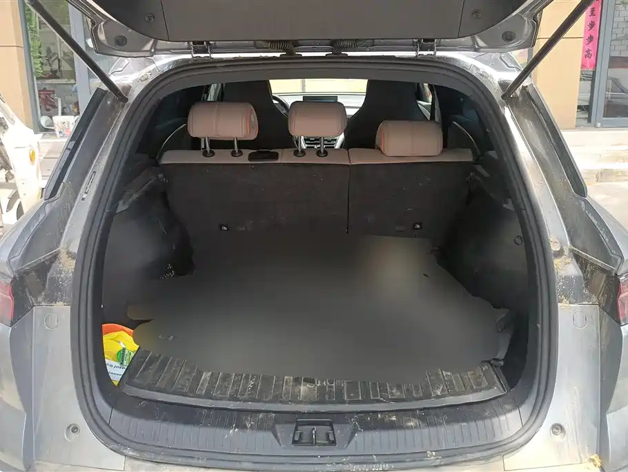 BYD Pro New Energy 2025 — фото 4