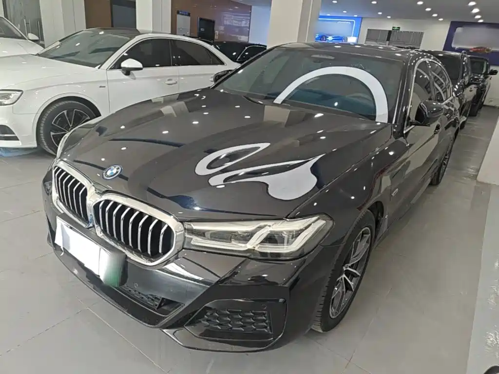 BMW 5 Series New Energy 2023