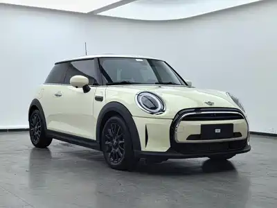 MINI MINI 2022