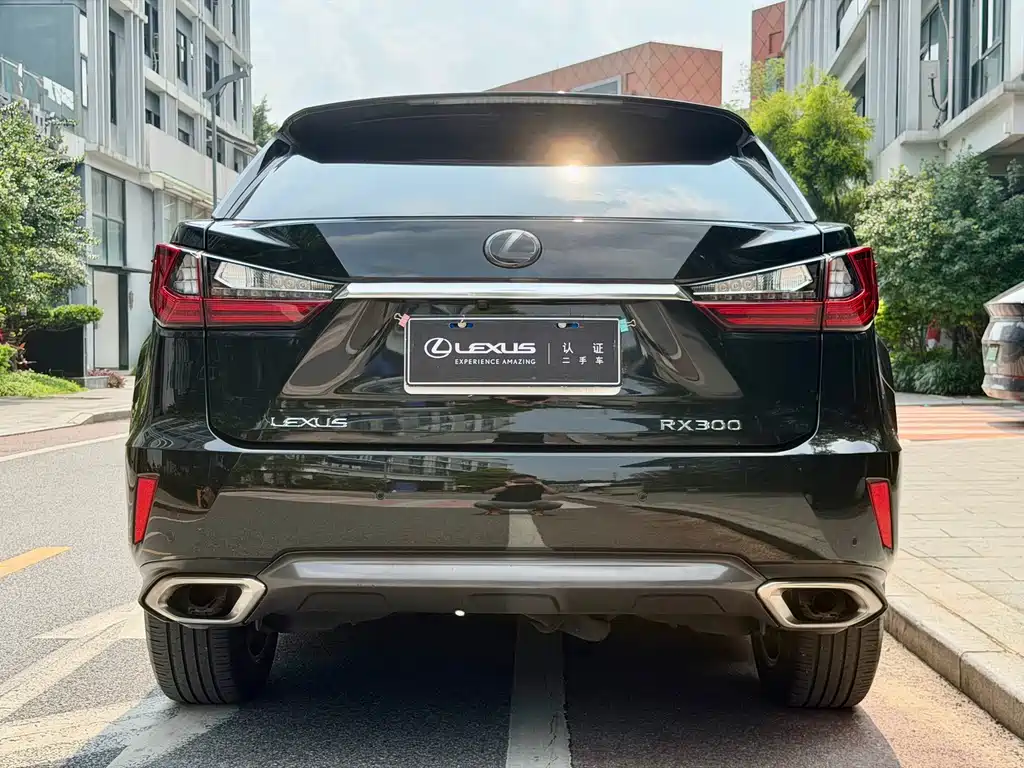 Lexus RX 2016 — фото 19