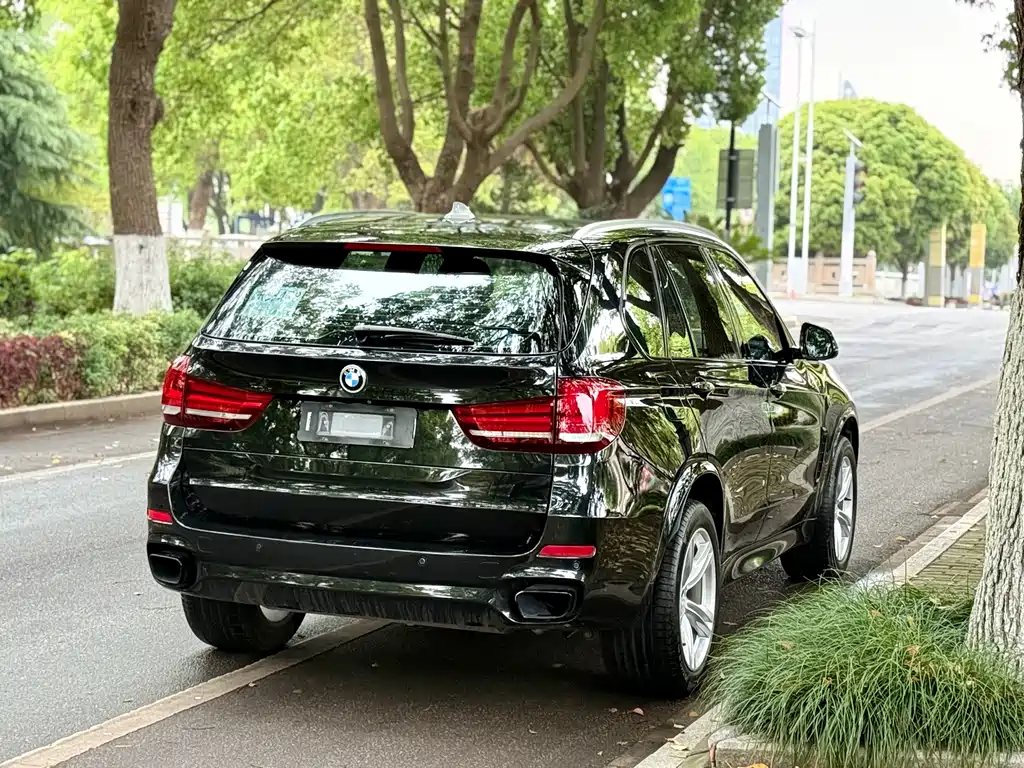 BMW X5 2017 — фото 10