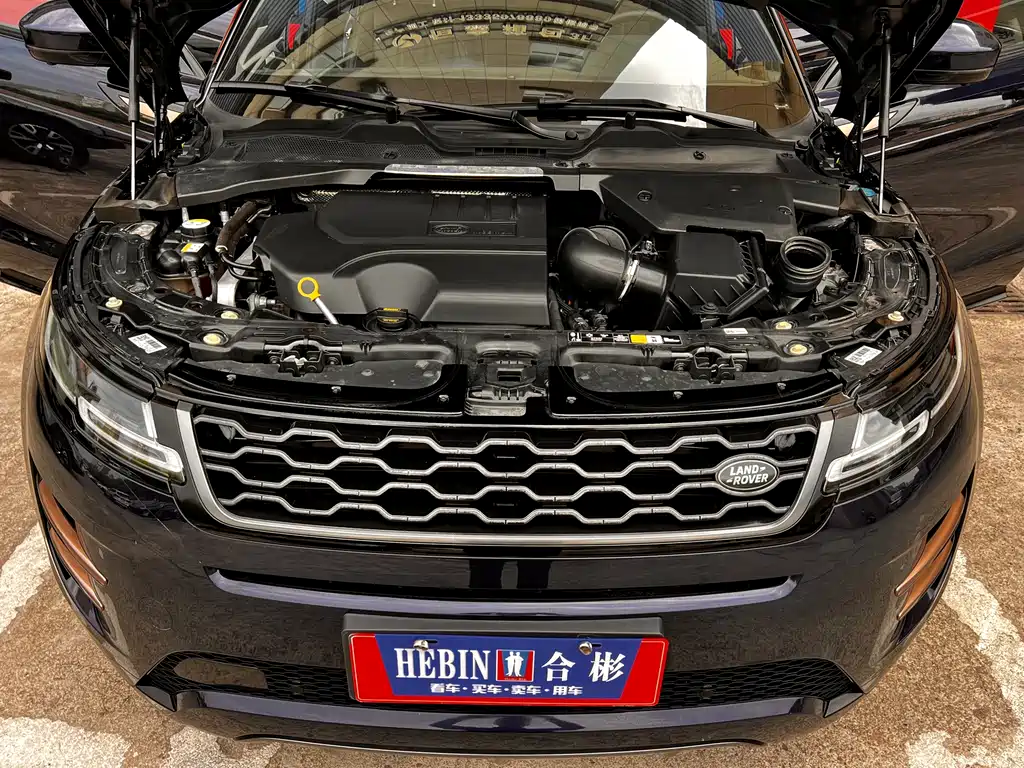 Land Rover Evoque 2020 — фото 49