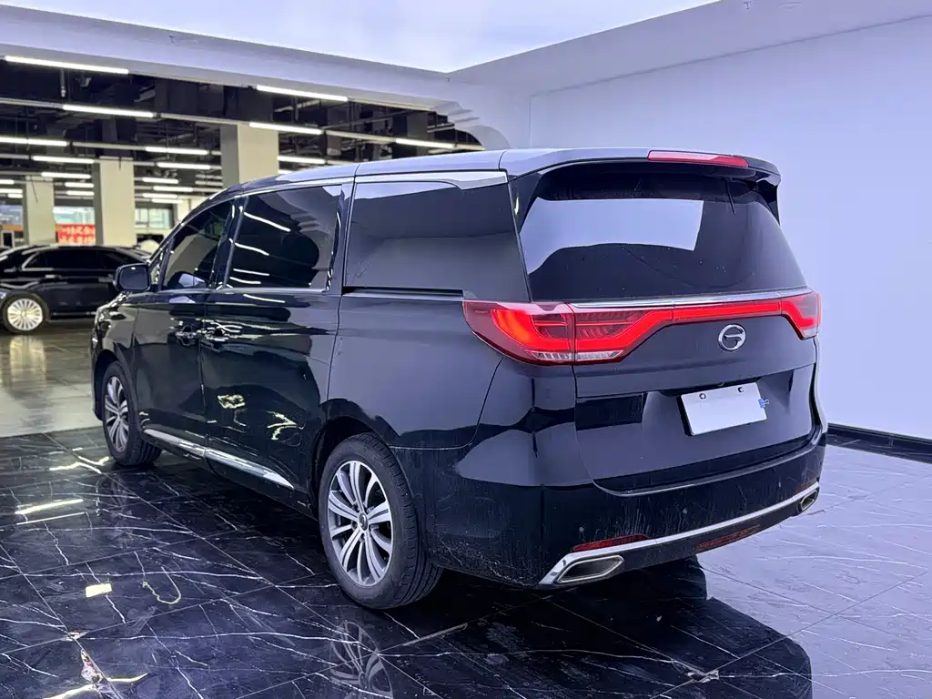 GAC Trumpchi M8 2019 — фото 18