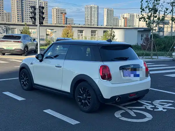 MINI MINI 2020