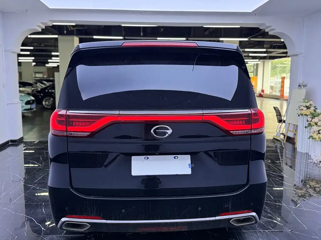 GAC Trumpchi M8 2019 — фото 19