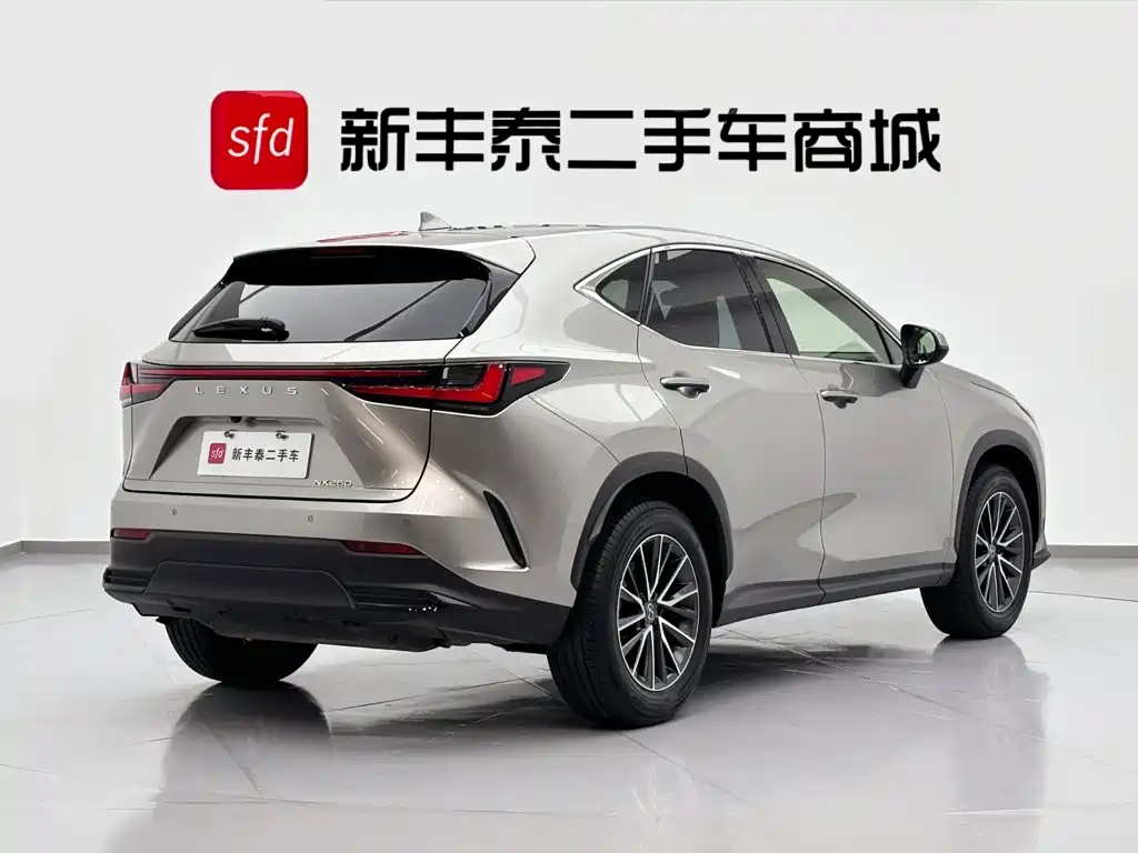 Lexus NX 2024 — фото 6