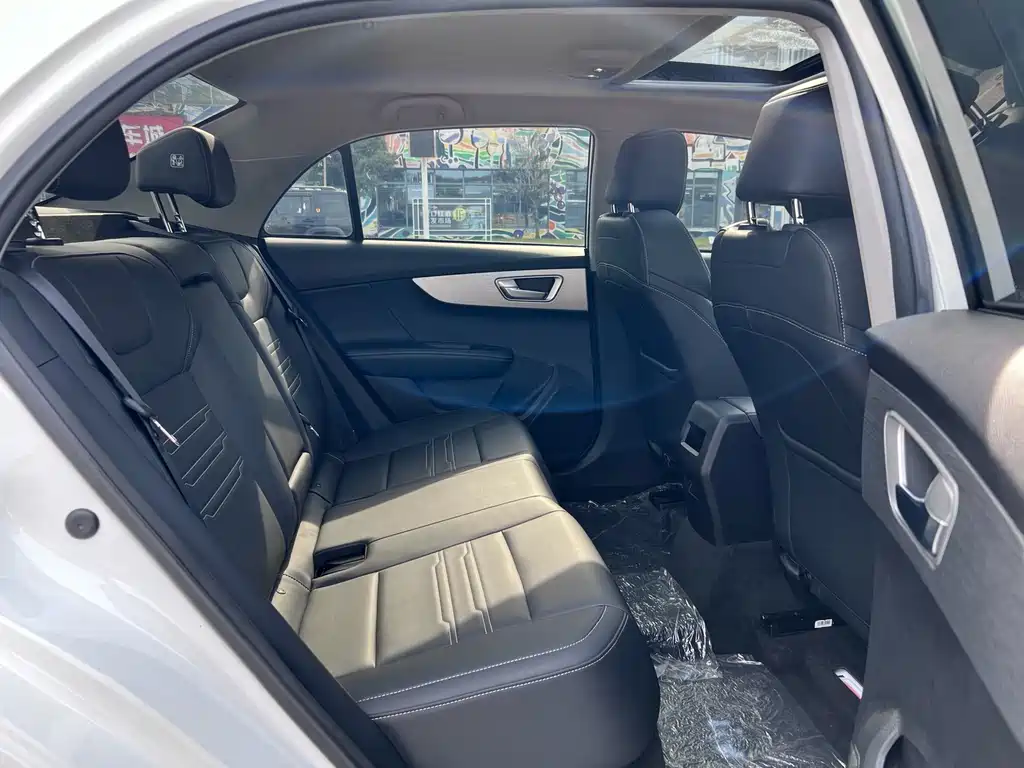 BYD Qin NEV 2020 — фото 14