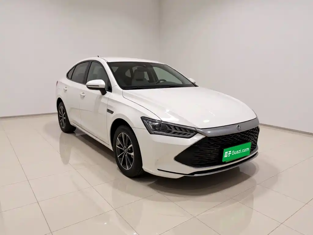 BYD Qin PLUS 2023