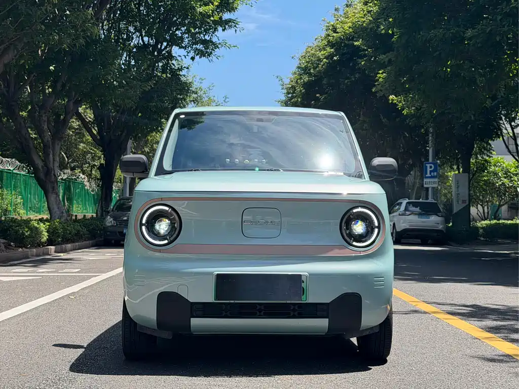 Galaxy Panda 2024